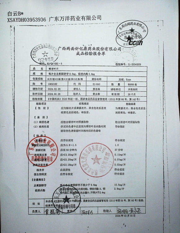 银杏叶片2402182的封面