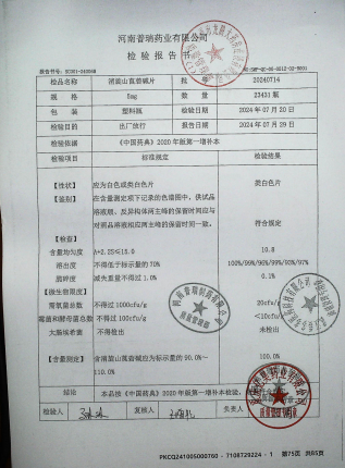 消旋山莨菪碱片20240714的封面