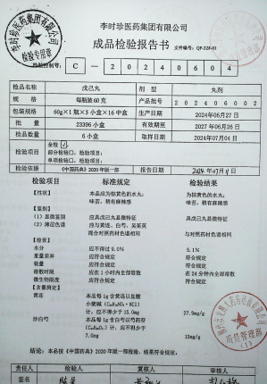 戊己丸202406002的封面