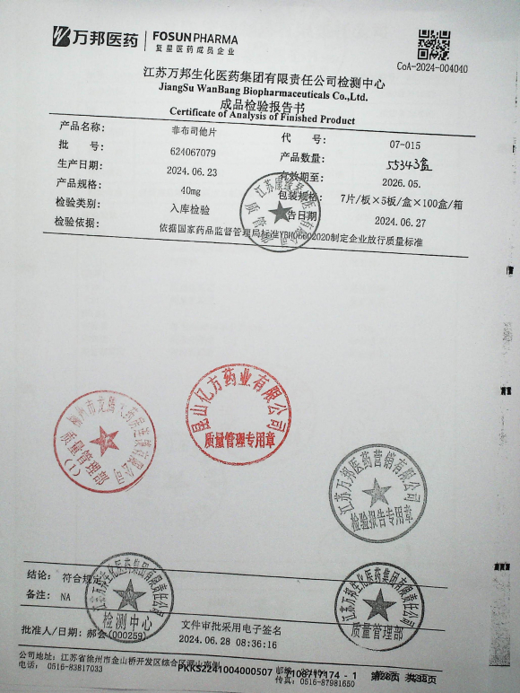 非布司他片624067079的封面
