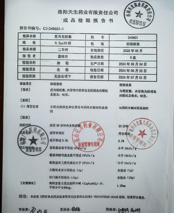 夏天无胶囊240601的封面