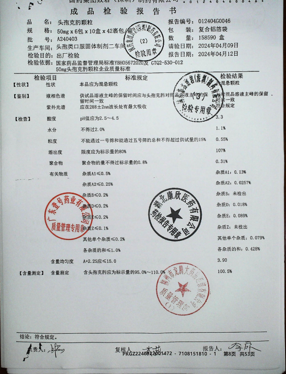 头孢克肟颗粒A240403的封面