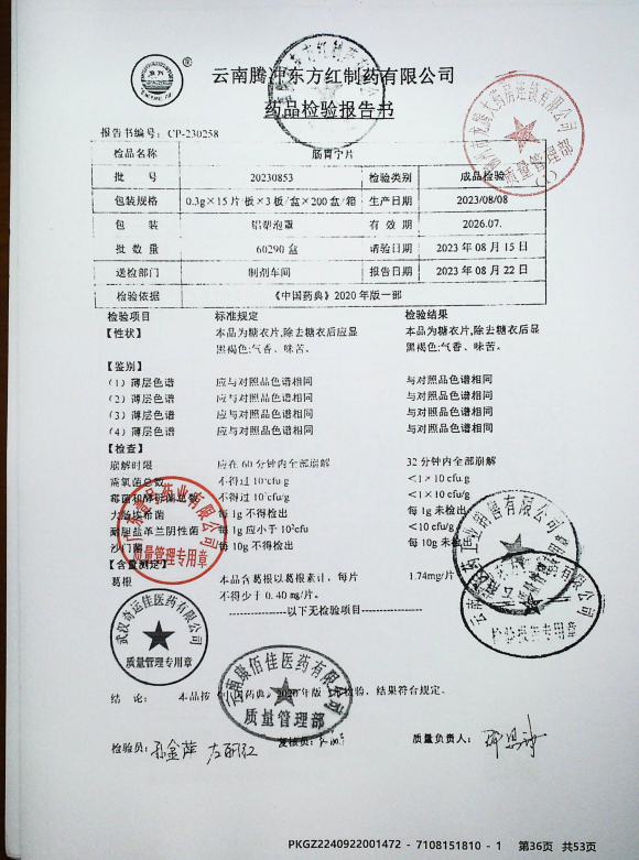 肠胃宁片20230853的封面
