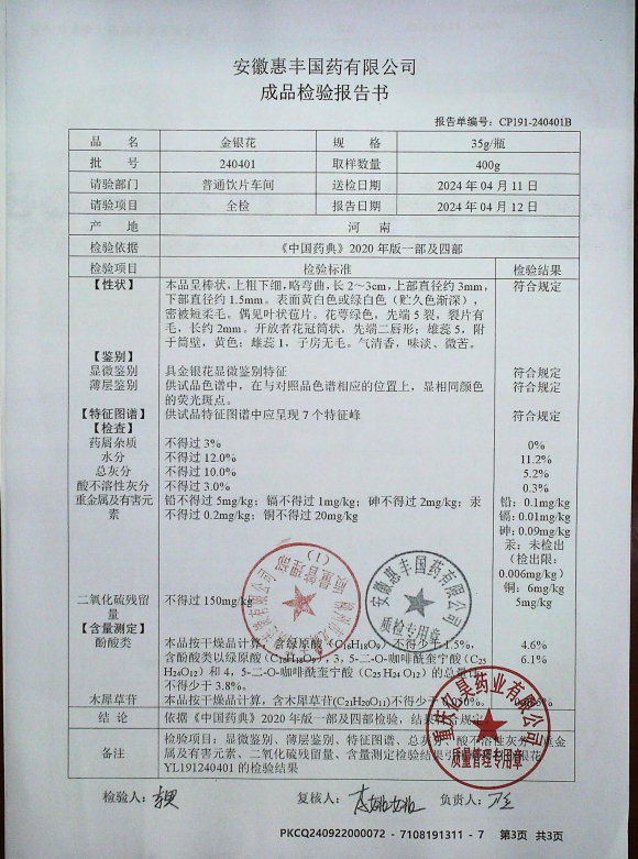 金银花240401的封面