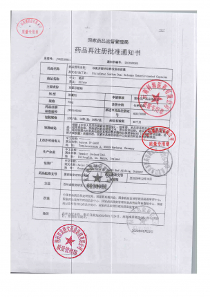 戴芬双氯芬酸钠双释放肠溶胶囊1492000104的封面