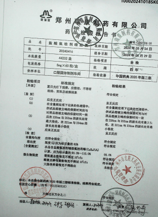 盐酸氟桂利嗪胶囊20240416的封面