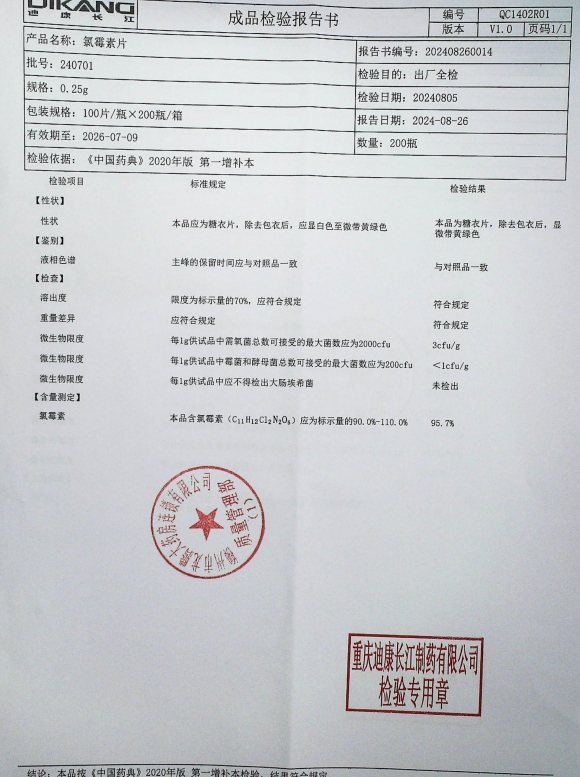 氯霉素片240701的封面