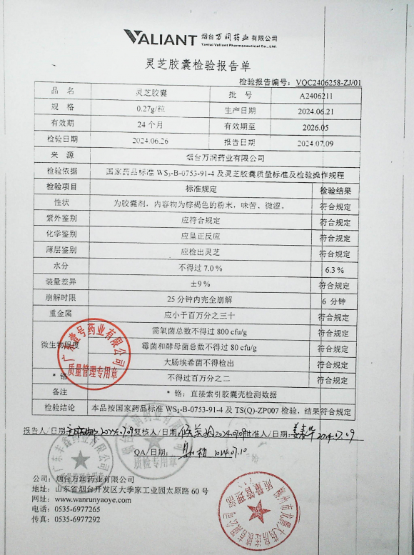 灵芝胶囊A2406211的封面