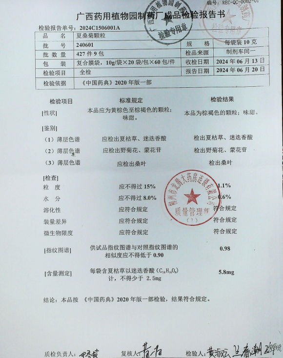 夏桑菊颗粒240601的封面