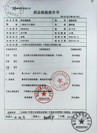 消炎镇痛膏20240104的封面