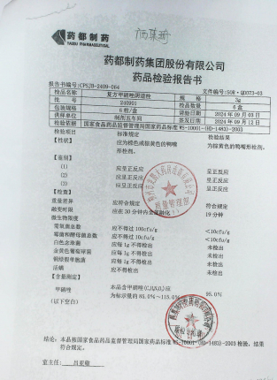 复方甲硝唑阴道栓240901的封面