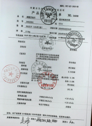 硝酸甘油片24052901的封面
