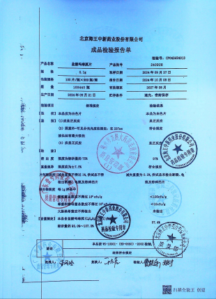 盐酸吗啉胍片240908的封面