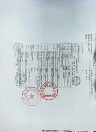 镇脑宁胶囊240106的封面