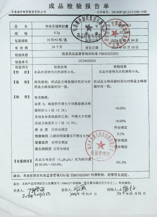 布洛芬缓释胶囊20240111的封面