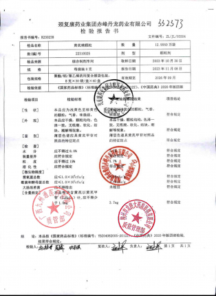 黄芪精颗粒22310025的封面
