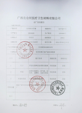 医用检查手套20240905的封面