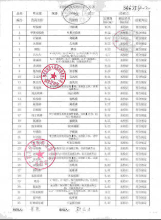草豆蔻A240101的封面