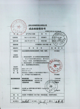 益气养血口服液1241008的封面