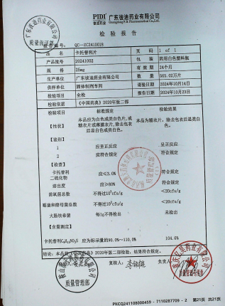 卡托普利片20241002的封面