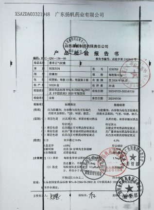 藿香正气胶囊1230703的封面