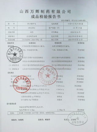 附子理中丸20240501的封面