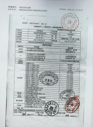 头孢克肟片T48240901的封面