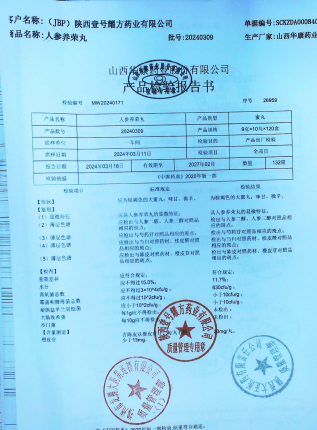人参养荣丸20240309的封面