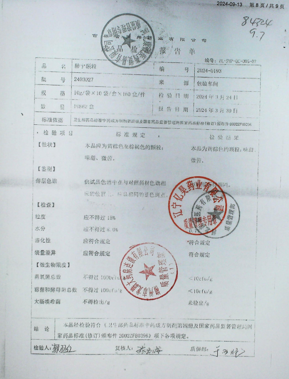 肺宁颗粒2403027的封面