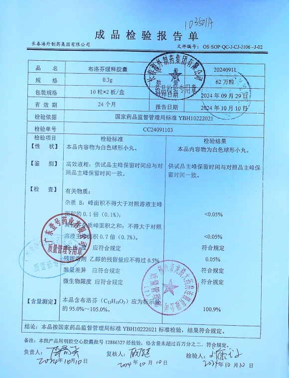 布洛芬缓释胶囊20240911的封面