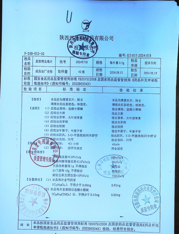 皮肤病血毒片20240718的封面