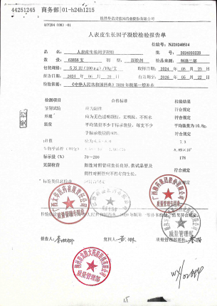人表皮生长因子凝胶202405022B的封面